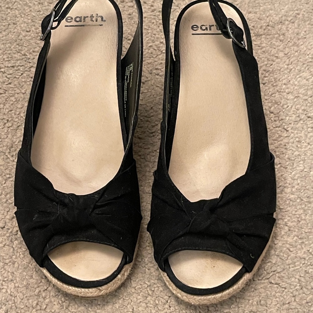 Earth summer wedges